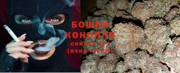 ГАЛЛЮЦИНОГЕННЫЕ ГРИБЫ Пересвет