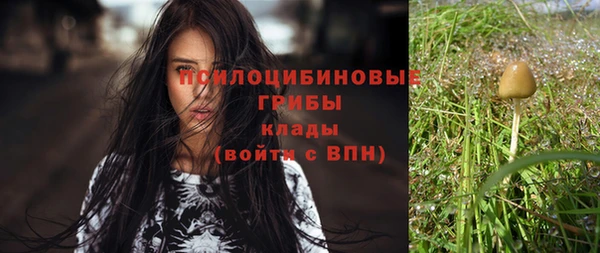 ГАЛЛЮЦИНОГЕННЫЕ ГРИБЫ Пересвет