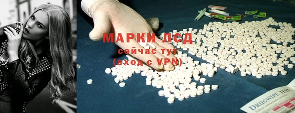 PSILOCYBIN Покров