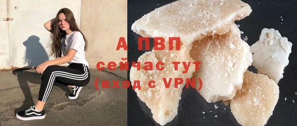 спиды Покачи