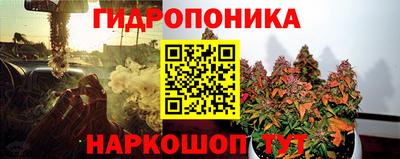дживик Кунгур