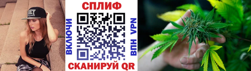 магазин продажи наркотиков  Магнитогорск  гидра зеркало  Бошки марихуана SATIVA & INDICA 